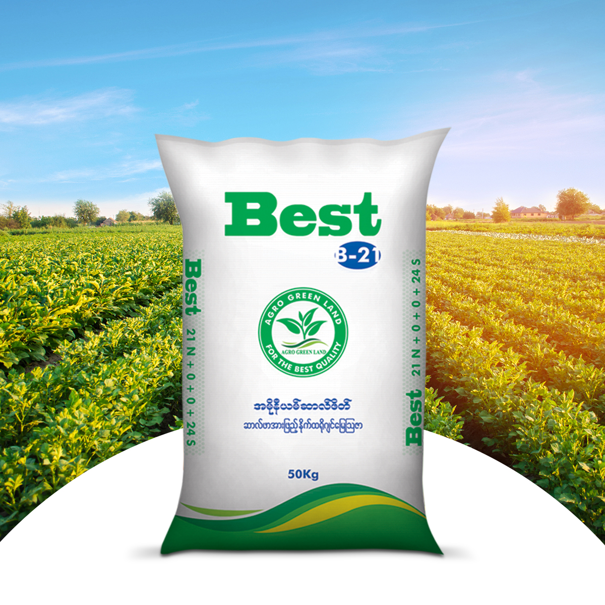 Best 21 Ammonium Sulphate